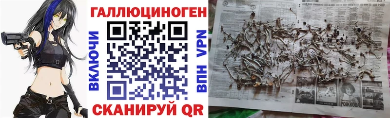 блэк спрут зеркало  дарнет шоп  Борисоглебск  Псилоцибиновые грибы MAGIC MUSHROOMS 
